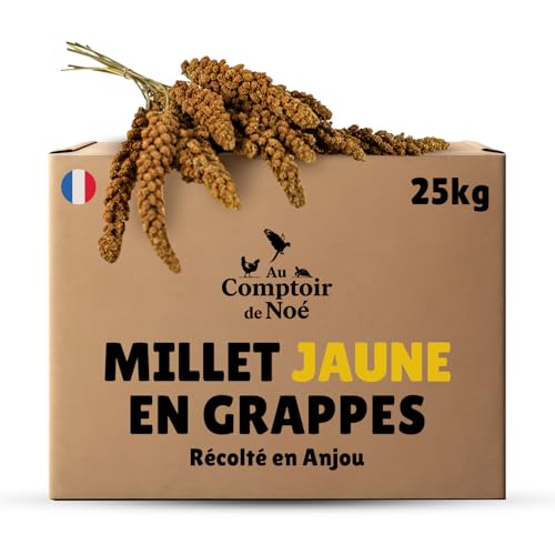 Millet en Grappes Jaune 25 kg, Alimentation pour Oiseaux, Ré