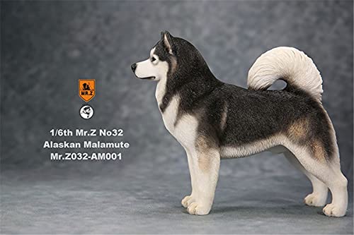 AMITD 1:6 Échelle Malamute dAlaska Chien Animal de compagnie