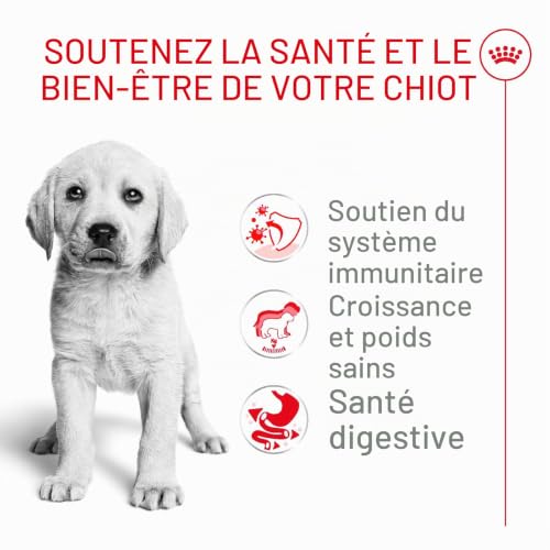 Royal Canin Labrador Retriever Junior 12.0 kg