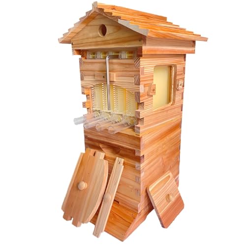Ruche pour abeille