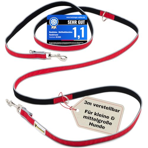 Hundefreund Laisse Multifonction 6-en-1 - Laisse pour Chien 