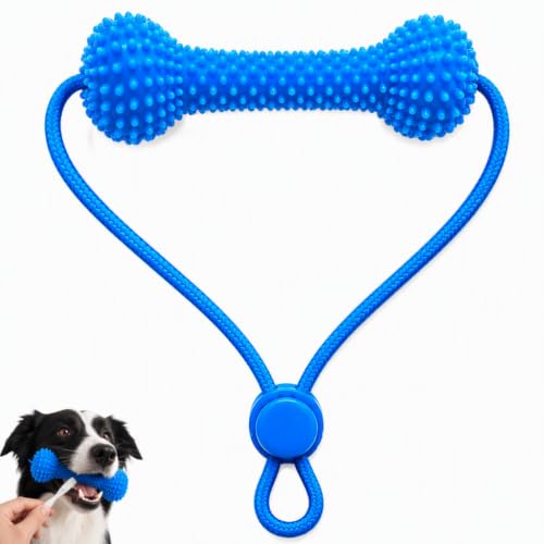 KERYBW Nettoyage Dentaire Chien - Ouvre-Gueule à Double Acti