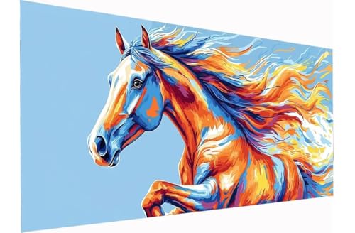 Peinture Numero Adulte, DIY 30x70cm Peinture par Numero Adul