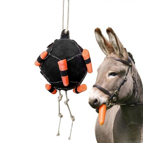 denrichissement interactifs pour chevaux