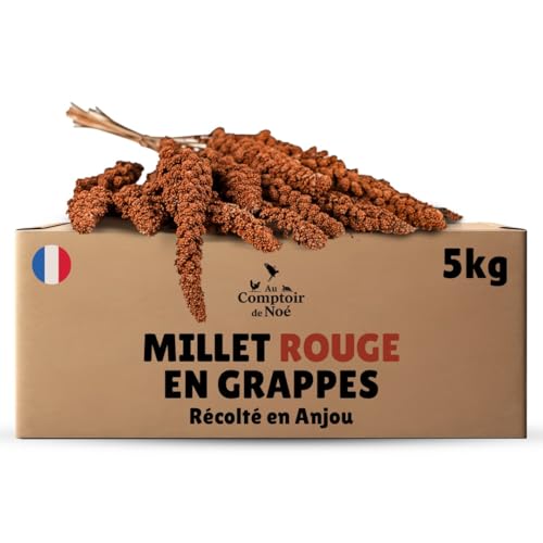 Au Comptoir de Noé Millet Rouge en Grappes 5kg, Alimentation