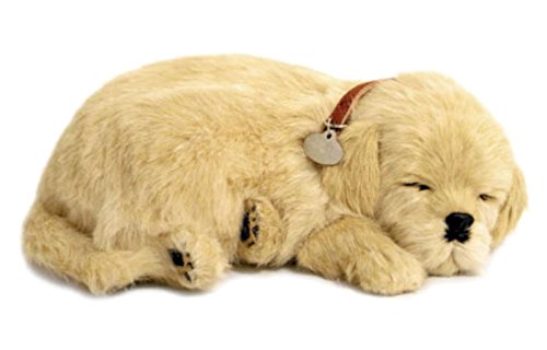 Perfect Petzzz Chien Golden Retriever Qui Respire The Breathing Puppy