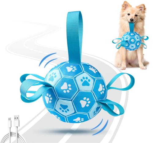 Qraxond Jouets interactifs pour chiens, Ballon de foot pour 