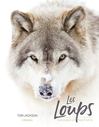 Les loups: sauvages et fascinants
