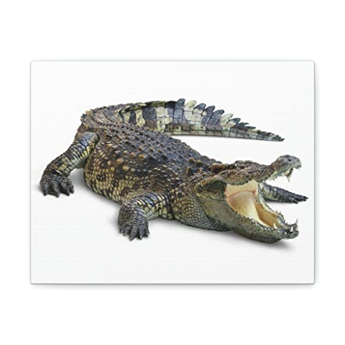 Impression sur toile de crocodile chassant un crocodile à la chasse, prête à être accrochée, sans cadre