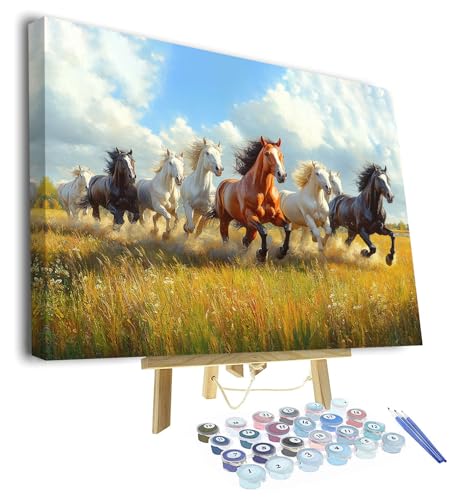 TISHIRON Paint by Numbers Peinture par numéros pour adultes,