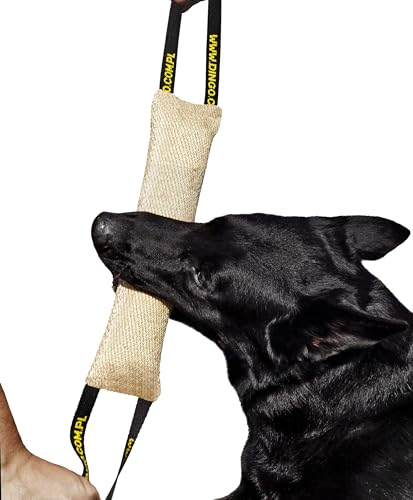 Dingo Jouet en Jute à Deux Poignées pour lÉducation Canine, 