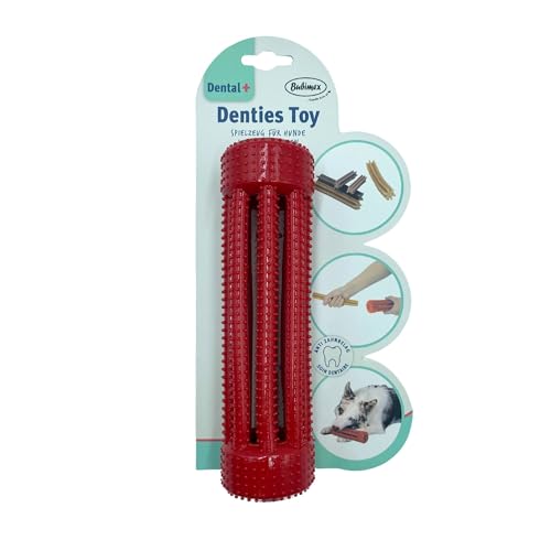 Jouets dentaires pour chien