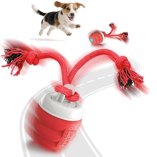 FUGODIWI Balle Interactive Chien – Jouet Interactif Balle Ch