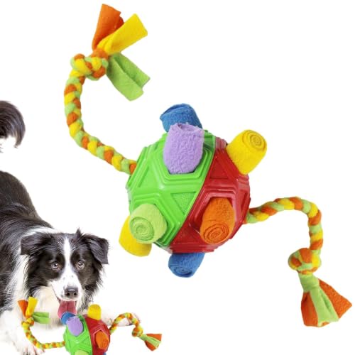 interactifs pour chien - Compétences naturelles de recherche