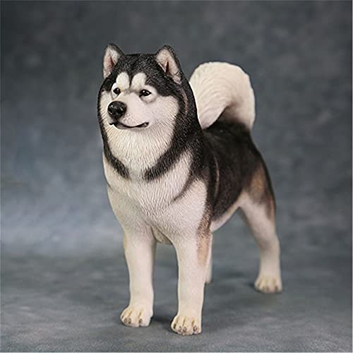 AMITD 1:6 Échelle Malamute dAlaska Chien Animal de compagnie