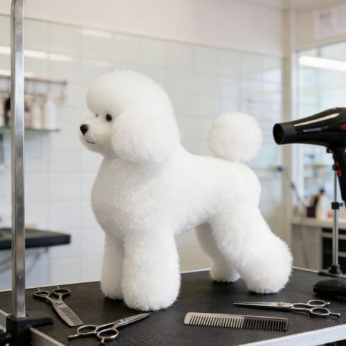 Fpbiagoq Mannequin de chien caniche amovible pour toilettage