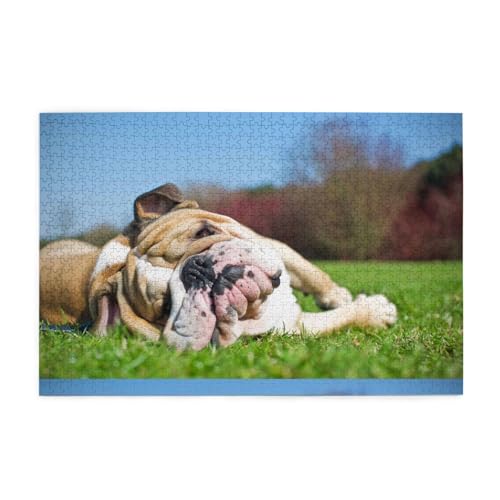 Bouledogues Anglais, Chiens fatigués, Animaux de Compagnie d