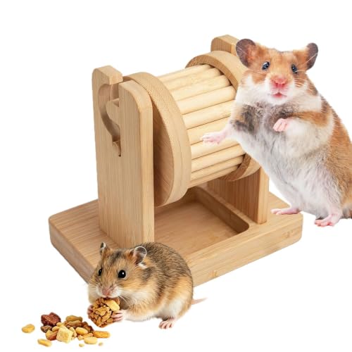 gerbilles interactifs en bois