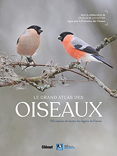 Le grand Atlas des oiseaux: 150 oiseaux des régions de Franc