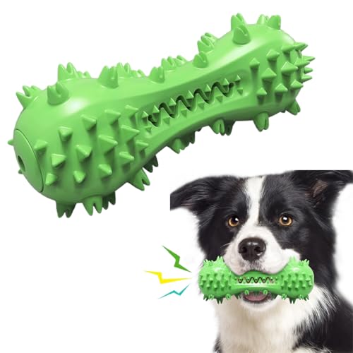 Jouets pour Chien, Jouet dentaire à mâcher moyen, forme d’os