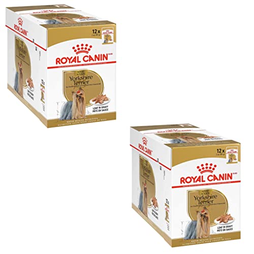 Royal Canin Yorkshire Terrier Adult | Pack Double | 2 x 12 x