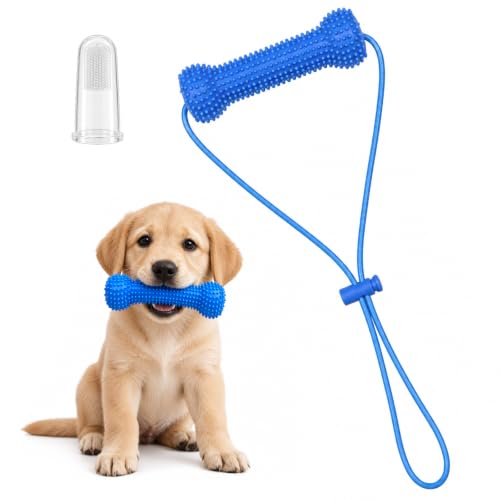Jouets dentaires pour chien
