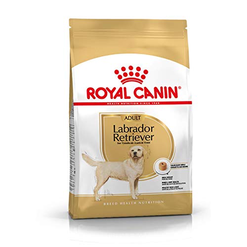 ROYAL CANIN Aliment pour chien labrador adult royal canin (1