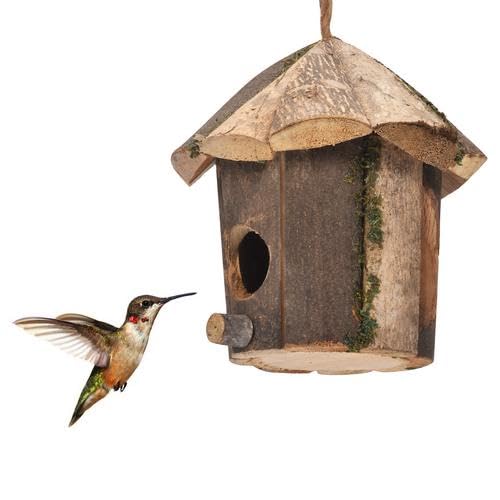 Nichoir à Oiseaux