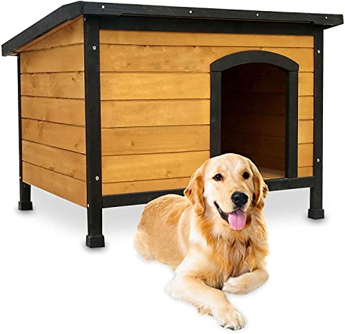 Boutique pour Chiens