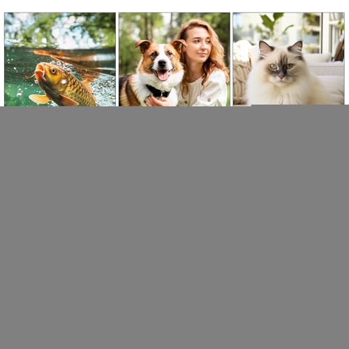 pour chiens et animaux domestiques