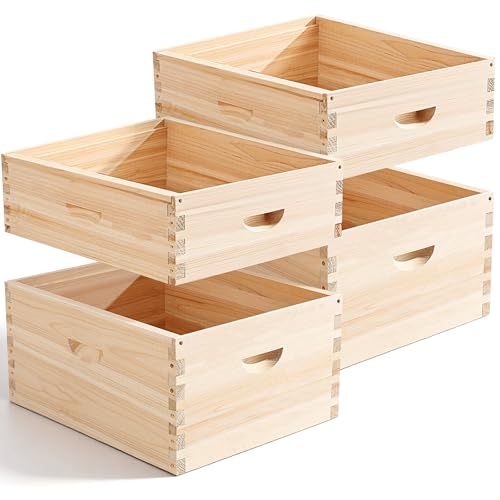 Ruche pour abeille
