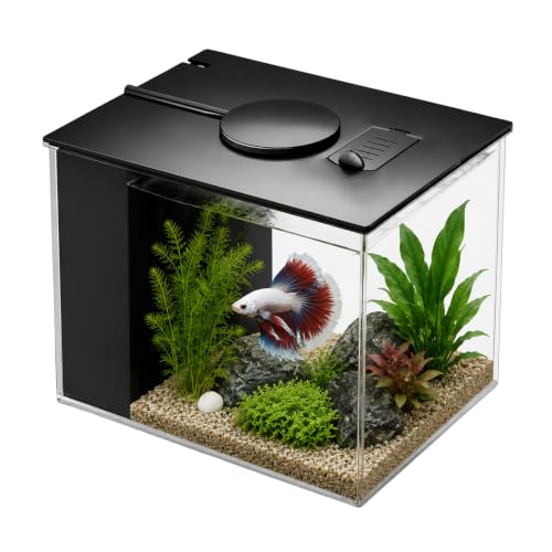 Petit Aquarium Complet, Mini Aquarium Plastique, avec Pompe