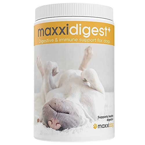maxxidigest+ Probiotiques Enzymes Prébiotiques Soutien Digestif Chiens 375g