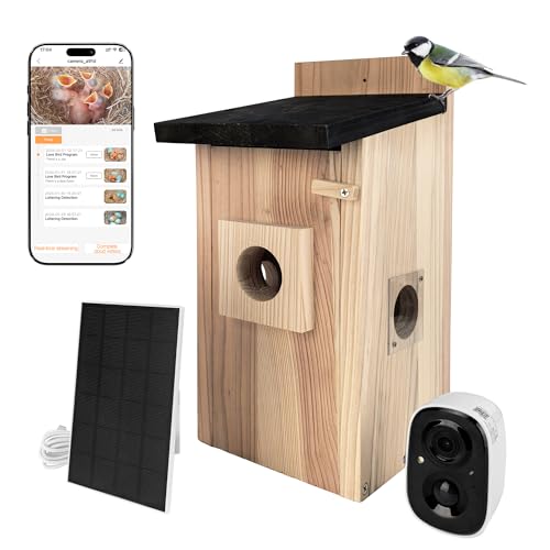 Nichoir Caméra Solaire Extérieur 4MP