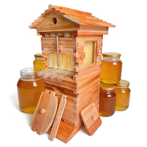 Ruche en bois auto-fluide avec cadres et plateaux, kit de dé