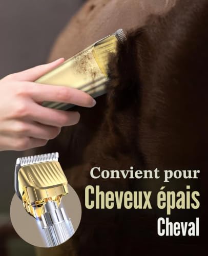 oneisall Tondeuse à cheval, kit de toilettage sans fil à fai