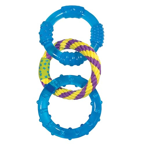 Jouets dentaires pour chien