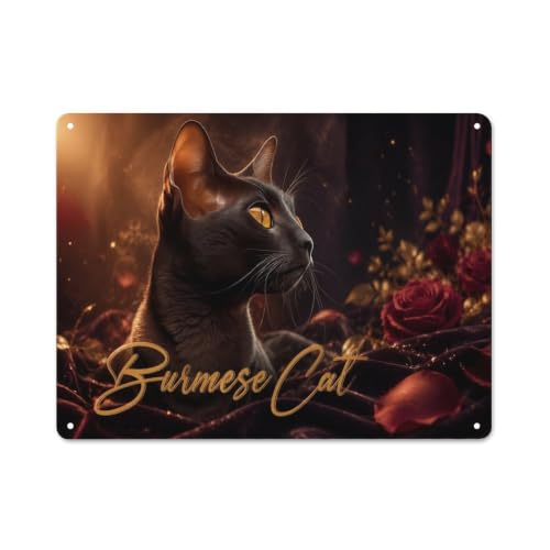 Plaque Métal Burmese Cat Portrait 30x40cm Décoration Maison