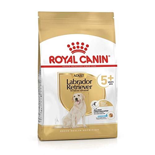 Royal CANIN - Croquettes Labrador Adulte 5+ - Sac De 12 Kg