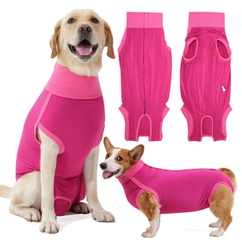 HEYWEAN Combinaison Chien Post-Opération - Femelle/Mâle, Sté