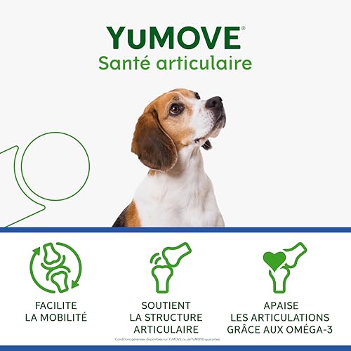 YuMOVE Arthrose Chien Senior 8+ Ans - 120 Comprimés - 170mg 