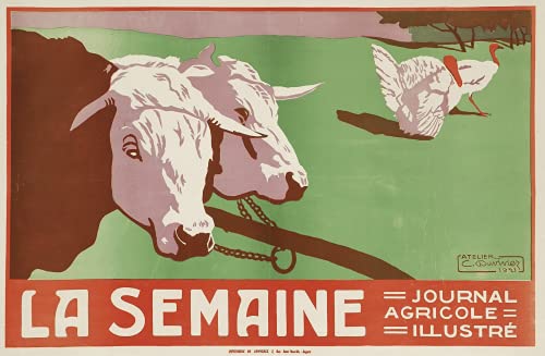 Vache Semaine Journal agricole Affiche Poster Reproduction -