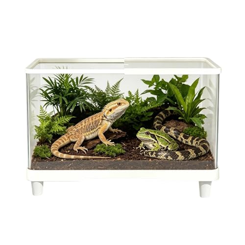 Terrarium À Reptile - Habitat Anti-évasion ventilé à lézard 