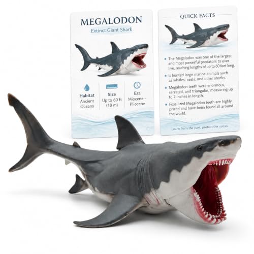 Dacono Jouet requin Megalodon, figurine de mâchoire mobile d