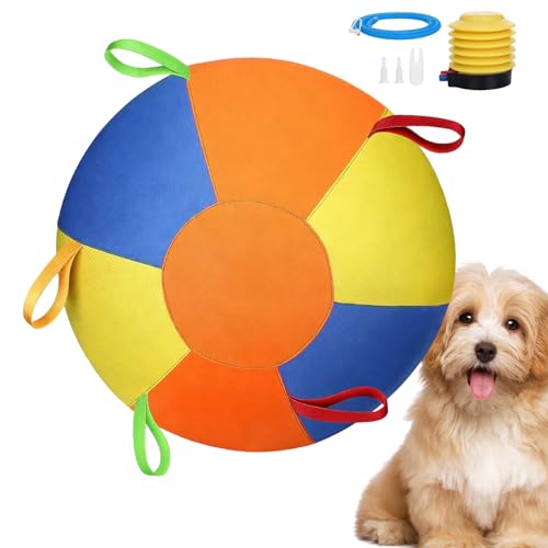 de troupeau pour chiens - Fournitures interactives apaisante