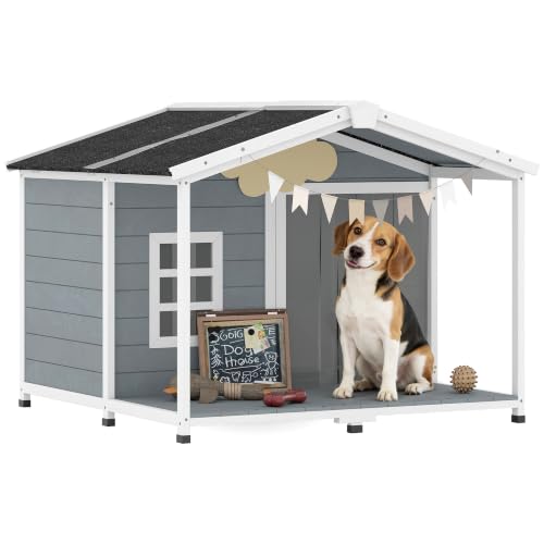 Boutique pour Chiens
