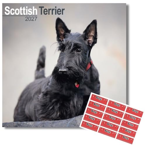 Avonside Scottish Terrier 2027 Calendrier avec Autocollants 