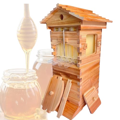 Hydravex Kit de démarrage pour Ruche, Ruche en Bois à Flux l