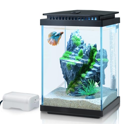 PYPABL Kit Aquarium en Verre 4L, Réservoir Betta, Kit De Dém