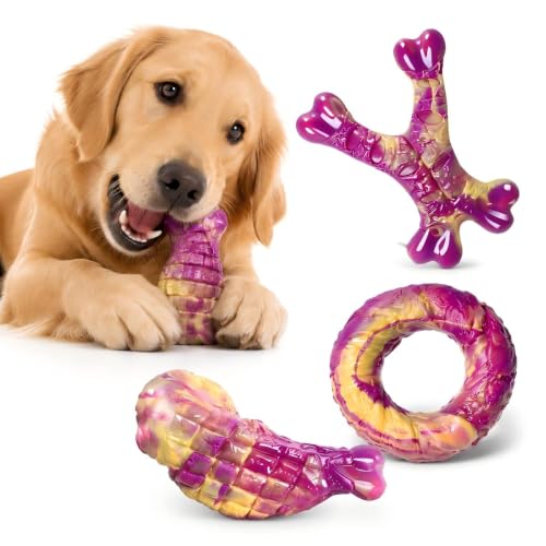 Jouets dentaires pour chien